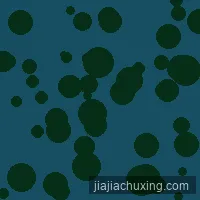 体育老师